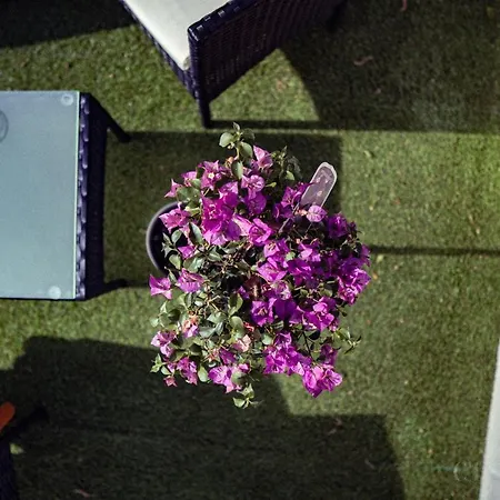 מלון Peniche C'est La Vie Les Grésillons