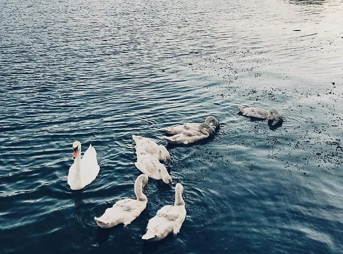 Otel Peniche C'est La Vie