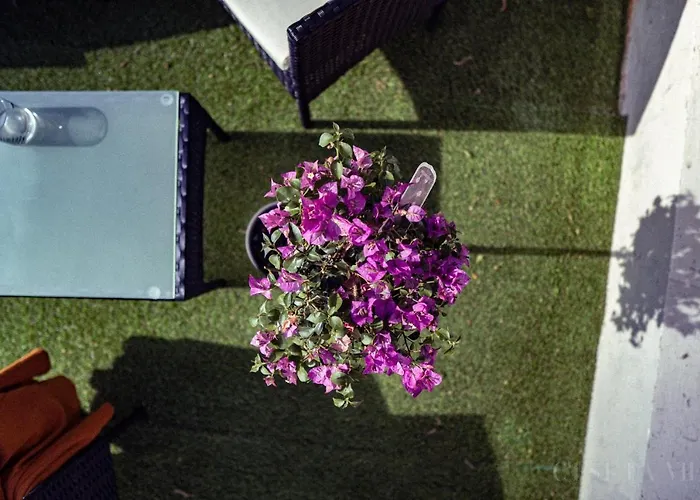 Otel Peniche C'est La Vie Les Grésillons